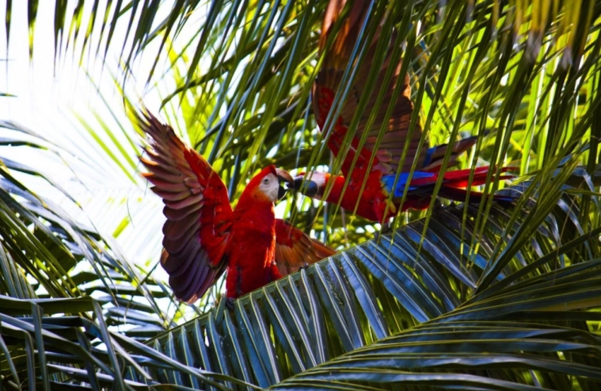 Какие праздники отмечают в России и мире 29 июня 2025 года