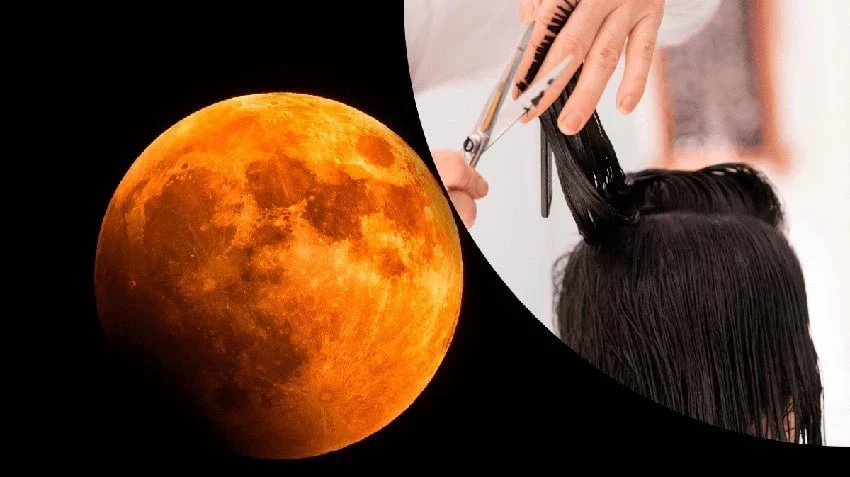 Когда стричь волосы в августе 2025 года согласно лунному календарю