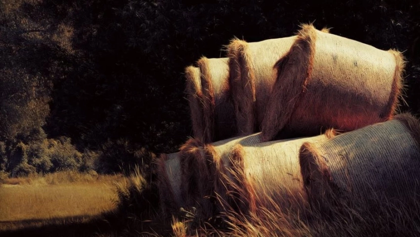 Какой народный и церковный праздник отмечают в России 10 июля 2025 года, история, запреты, приметы