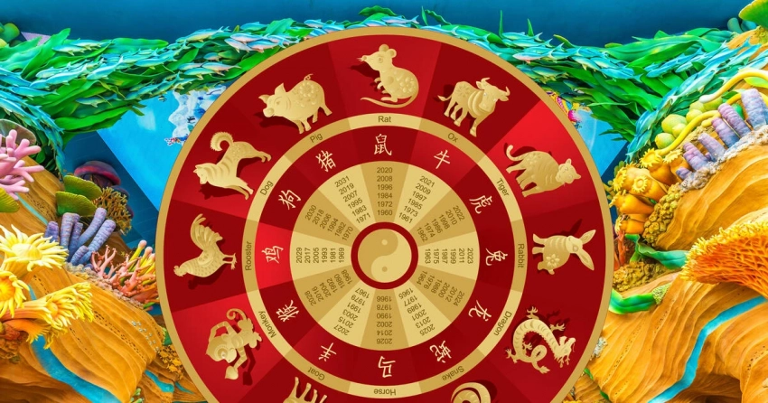Какие шесть китайских знаков зодиака исполнят свои мечты уже сейчас