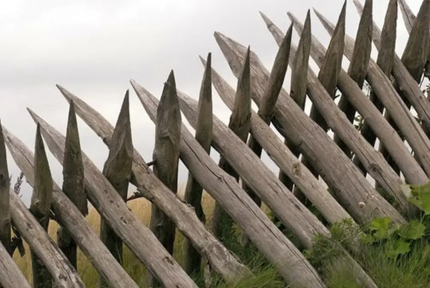 Остановит бронетехнику ВС РФ: Латвия собирается закупить почти 5 тыс. деревянных кольев